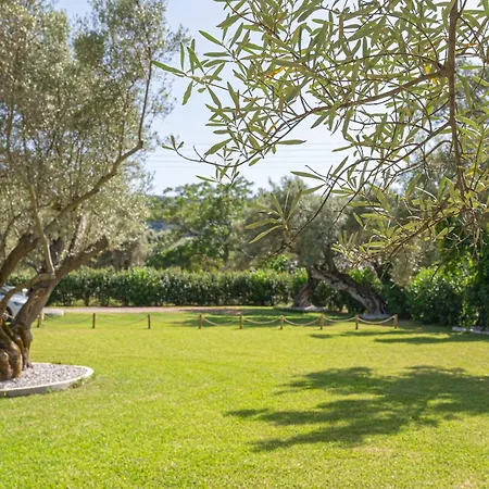 Apartment Elaia - & *