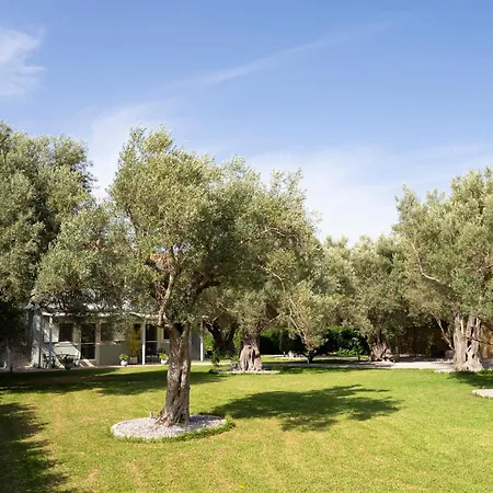 Apartment Elaia - & Lefkada City