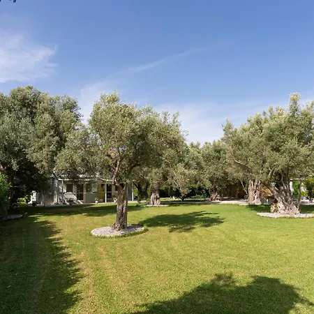 Apartment Elaia - &