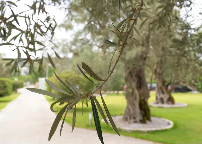 Elaia - & Apartamento Lefkáda